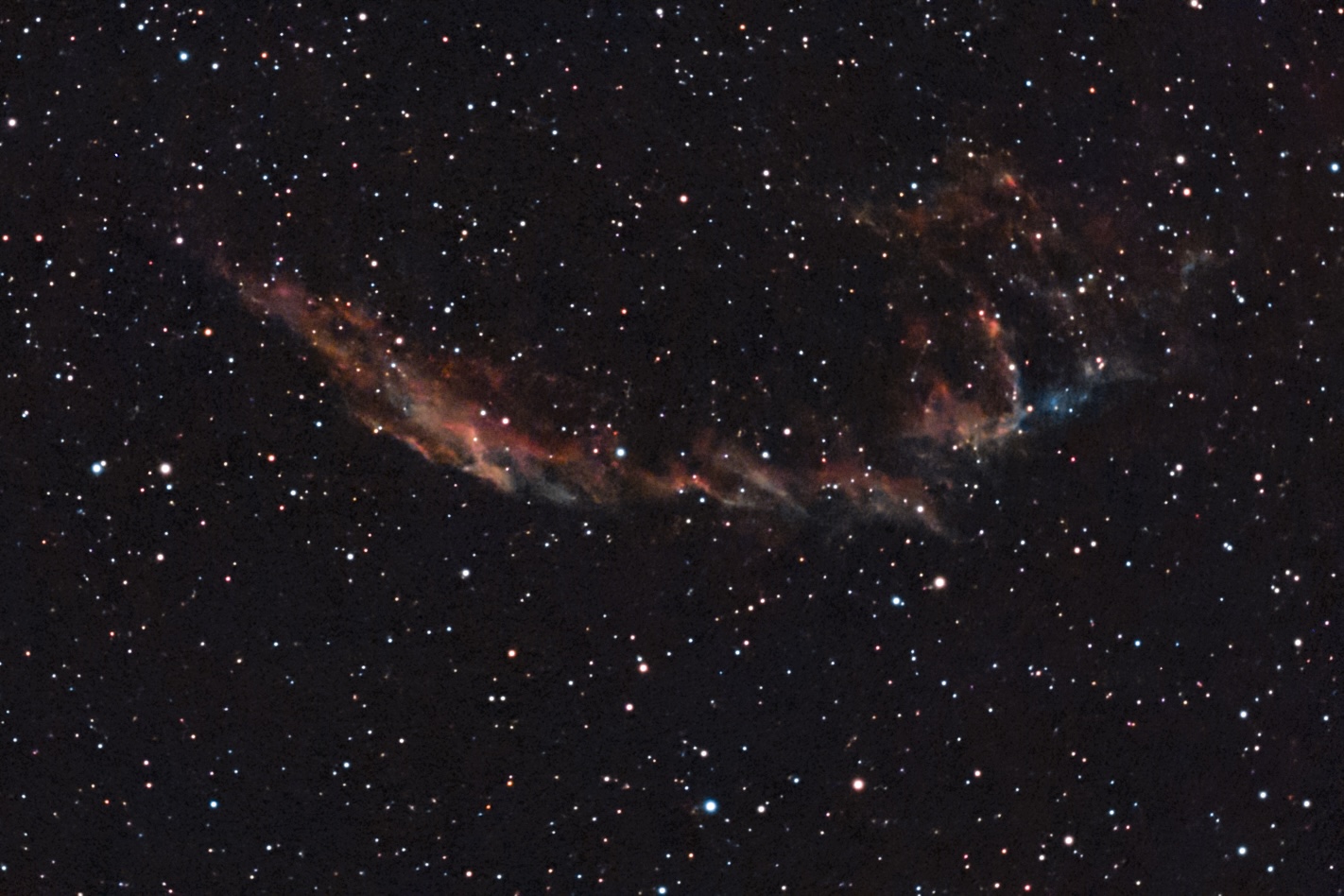 The Veil Nebula, a supernova remnant in Cygnus, photographed from San Diego in the summer of 2026